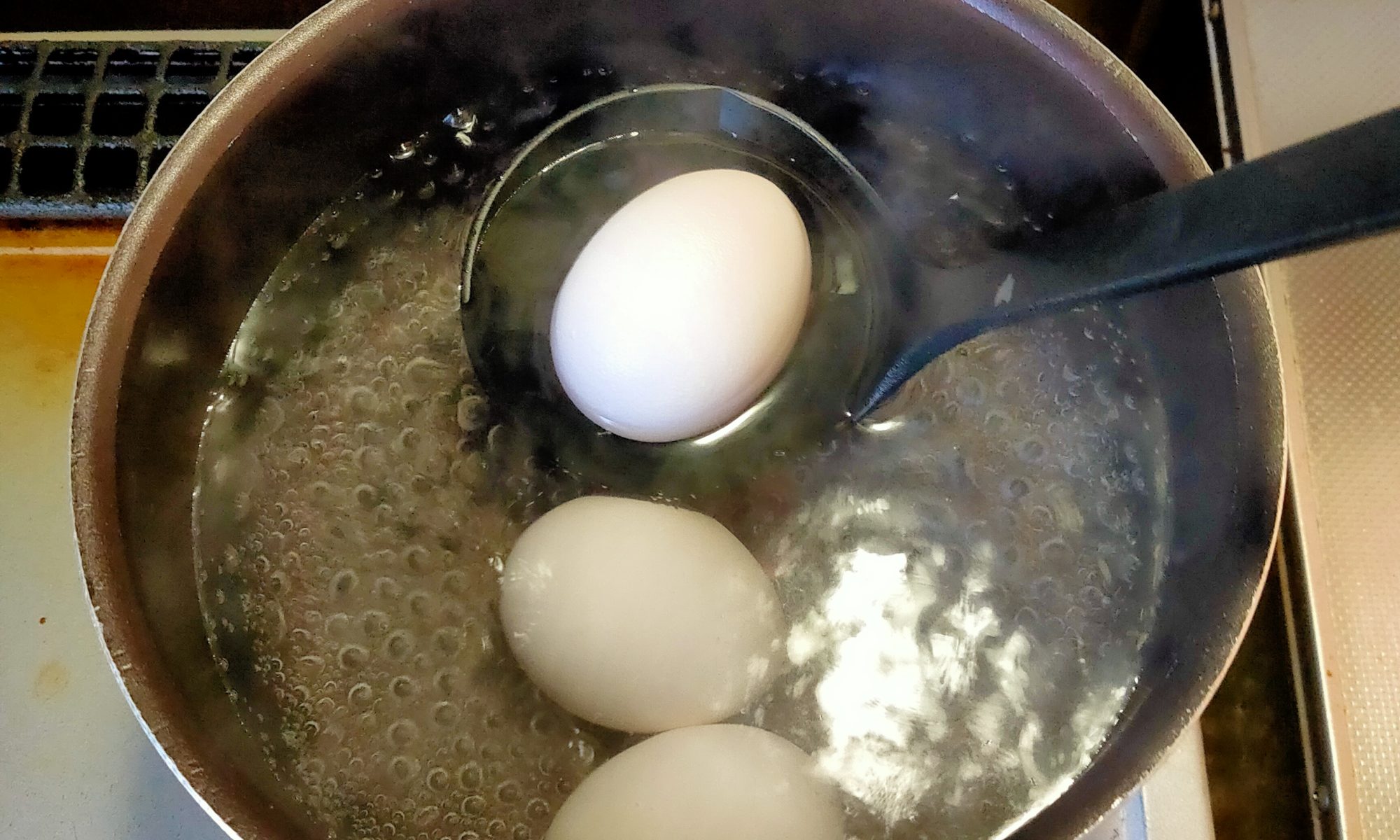 お湯から作る茹で卵 理想の仕上がりは何分？ 1分ごとに固さを比較してみたHint-Pot -4