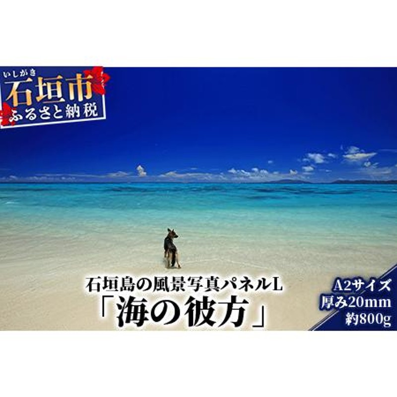 2024年1月】沖縄のイベント情報！新春闘牛イベントや恒例の桜まつりも♪|てぃーだニュース