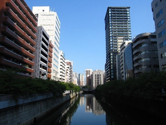 五反田📍タン好きのためのタンを堪能できる店！ 他の投稿はこちら▶︎フォローしてね！ 店舗の詳細情報👇 【タンとタン焼肉いわしげ 五反田店】