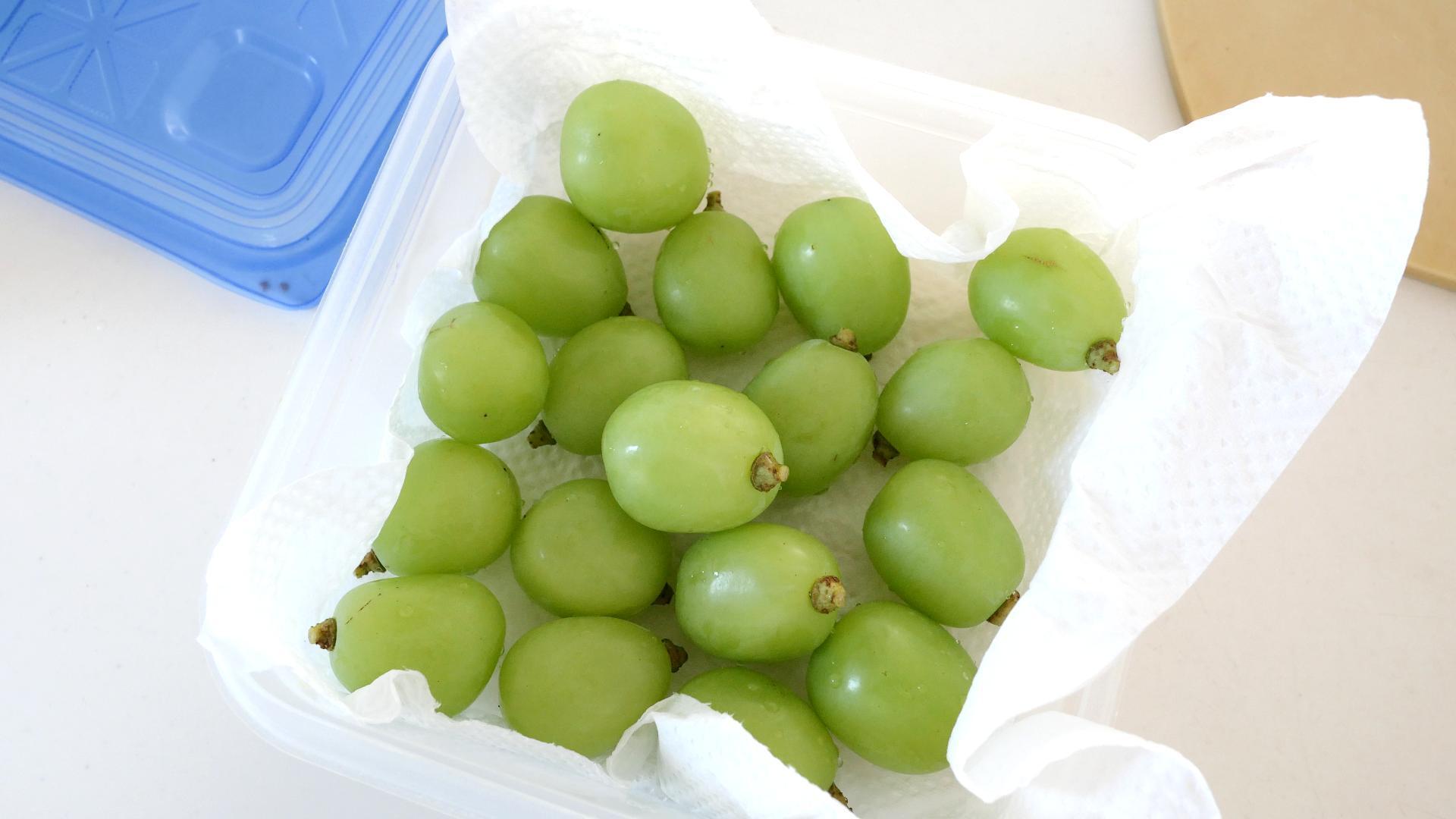 ぶどうの保存方法 美味しく長持ちさせる冷蔵・冷凍テクを徹底解説ほほえみごはん-冷凍で食を豊かに-ニチレイフーズ