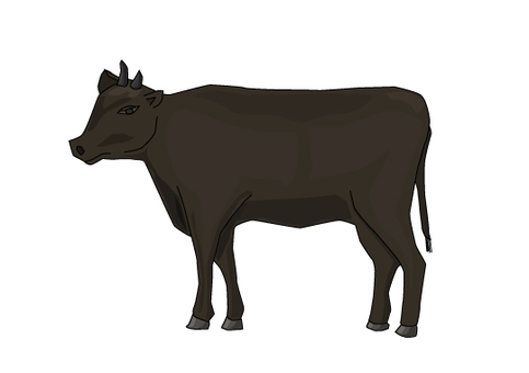 牛のシルエットと牛肉の部位を示す図のイラスト素材FYI07930998ストックフォトの Qlean Market キュリンマーケット