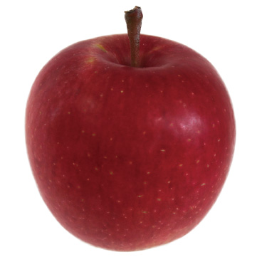 恵 めぐみの写真 画像 りんご 林檎 リンゴ