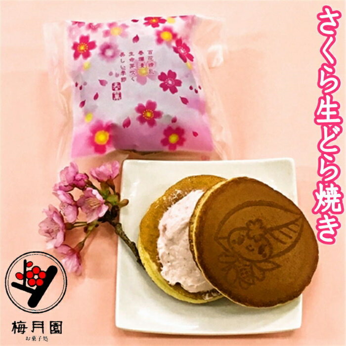 盛岡ギフト・春13個入 石割桜gd119-1tプランタンブラン by kagetsudoCake.jp