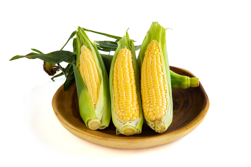 とうもろこし野菜と果物事典Salute Kitchen Supported by Funasho