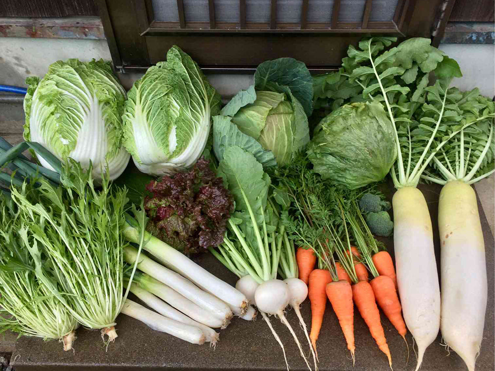 秋の家庭菜園！育てやすい野菜を紹介 - DIY LABO