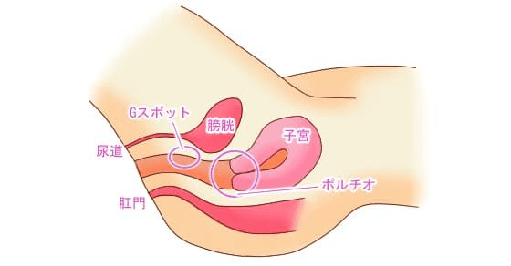 潮吹きのやり方・潮の吹かせ方のコツを女性目線で解説！ | セックスフレンド.club