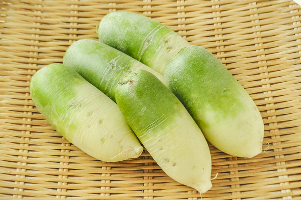 ダイコンの首が青いのは 緑色なのは なぜ？おしごとはくぶつかん