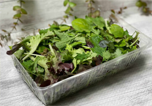 オーガニックは好き？コストコ☆有機栽培ベビーリーフむーの日常ときどきコストコ