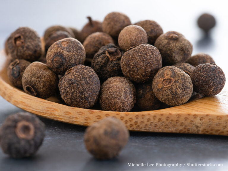 オールスパイスとナツメグの違い。定義・意味・使い方は？広辞苑より。ことばの違い.com