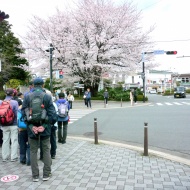 淵野辺公園／ホームメイト