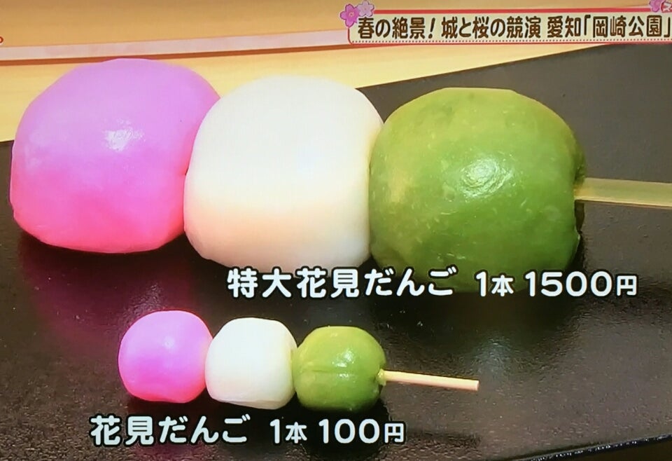 お花見に岡崎公園へ🌸🍡岡崎城ひょうたん屋さん名物花見団子大 を今年もゲット！！アップでもご覧下さい😆実家の父が作ったネギを頂いたのでねぎま作りました✨