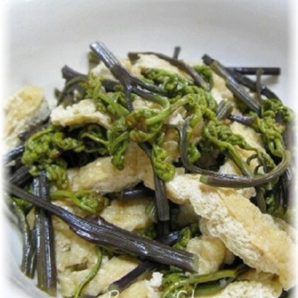 春の山菜わらびレシピ！わらびと油揚げの煮物！ – へべれけごはん