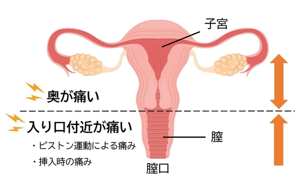 大好きなのにイケない！セックスで“感じる”ためのスイッチってどこ？ | ViVi