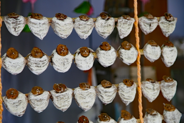 正月飾りの串柿を捨てるのは勿体ないので 柿バター を作ってみた。 - 人生はクレッシェンド