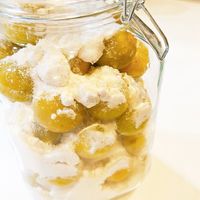 簡単な梅シロップの作り方