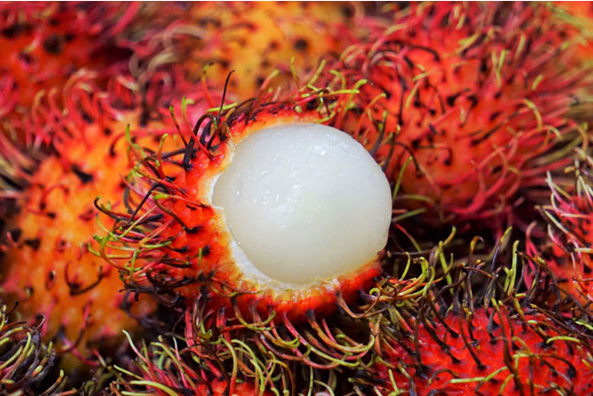 南国フルーツ図鑑 ベトナムで良く目にする毛むくじゃら果物ランブータン