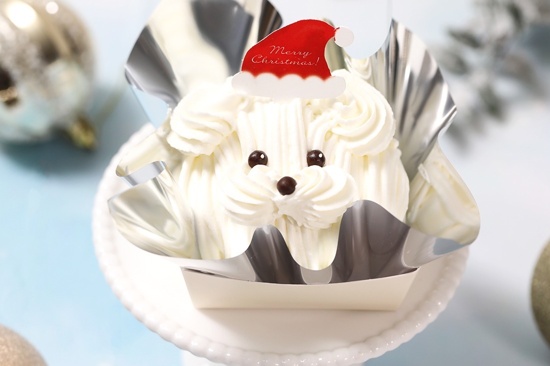 🎄🐾✨ 愛犬のクリスマスを華やかに彩るケーキ 🍰魔法洋菓子店ソルシエ 谷町本店のニュースまいぷれ 松山・伊予・東温・松前・砥部