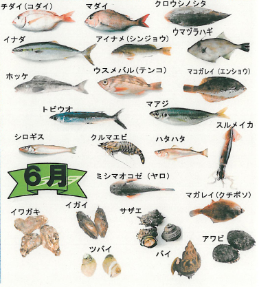 今美味しい魚を知りたい!季節ごとの魚の旬や旬の魚を食べるメリットを紹介ふるなび公式ブログ ふるさと納税DISCOVERY