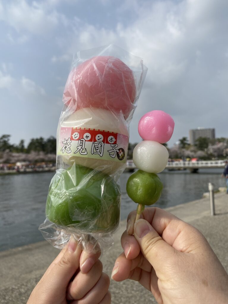 「600g花見団子」が名物 “日本さくらの名所100選”岡崎城公園で見頃迎える 川から見上げる桜や城とのコラボも