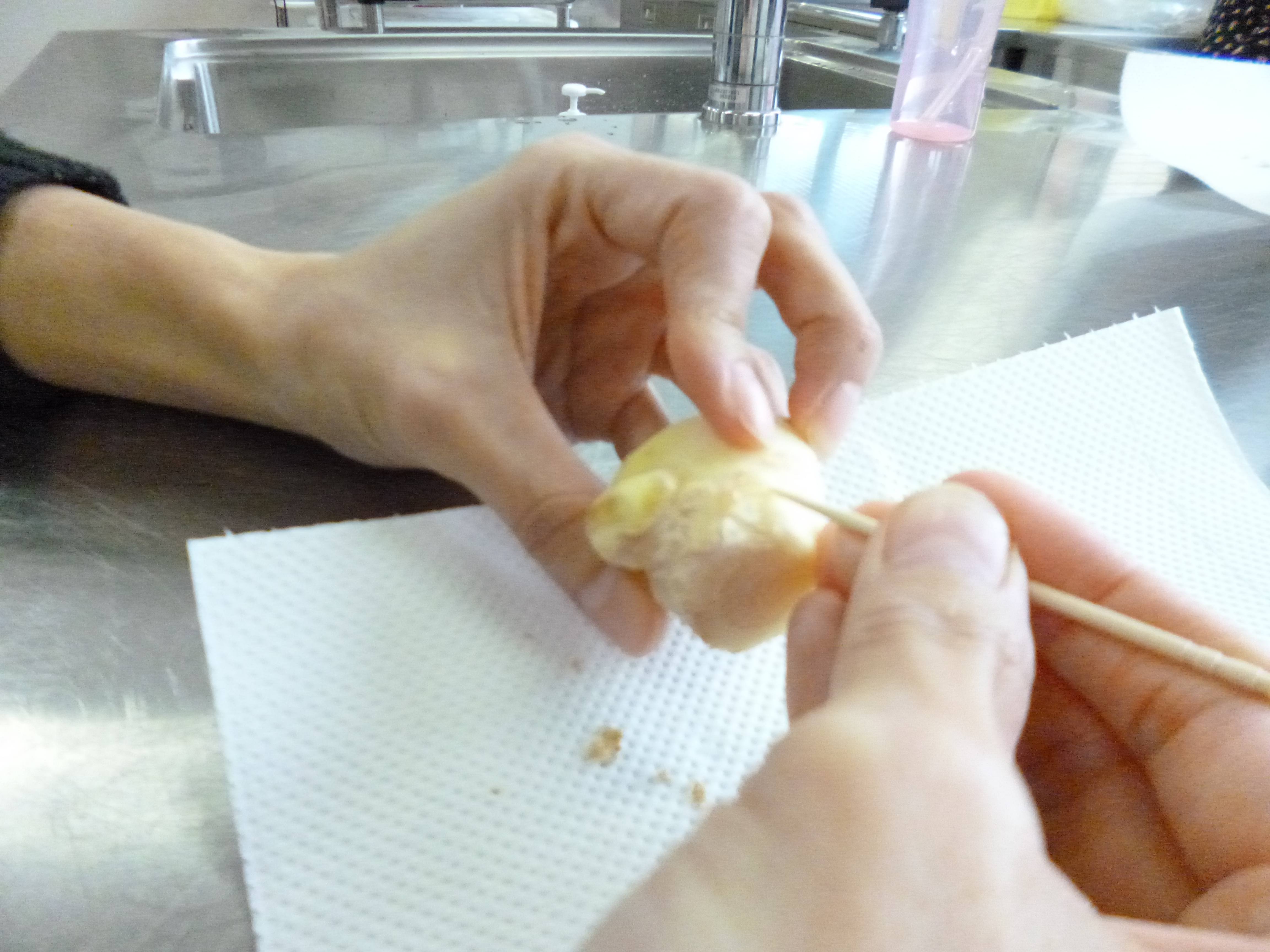 1块生姜放盆里，长出一片姜，只用了1个方法，2年都吃不完- 每日头条