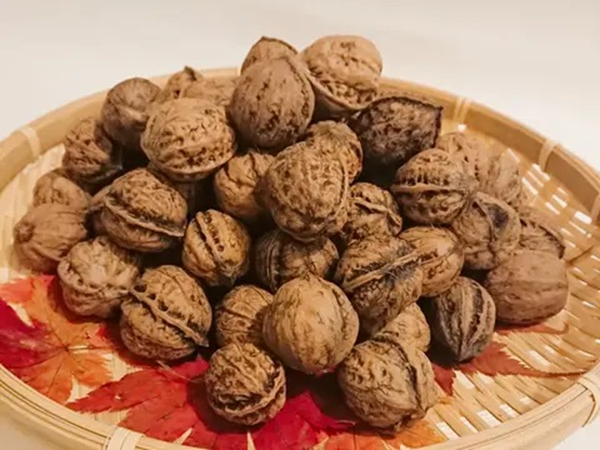 カシグルミ・オニグルミ・ヒメグルミ・サワグルミの違いは？似た種類の見分け方を解説！硬い果実はリスとネズミ専用に進化していた！？Ecological Notes Web