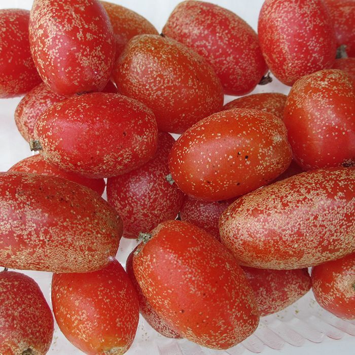 果物の女王様 マンゴスチン カンボジアに来て大好きになった果物のひとつ💜 おしりのある花びらみたいなマークと 中の実の数が同じだよ❇️mangostincambodianfruitpeakseasonqueenoffruitslovefruitlovecambodianompopok