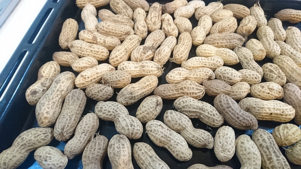 生落花生 ピーナッツ の炒り方