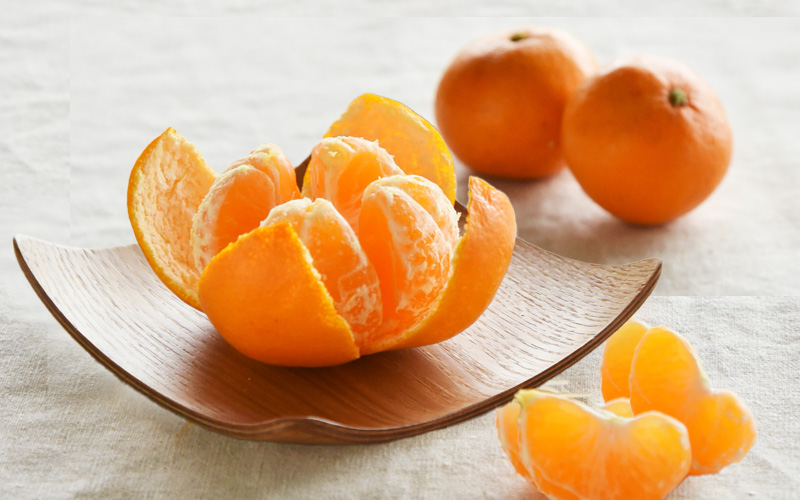 みかんの育て方・栽培方法実がなるまでの手順と注意点を初心者向けに解説コーナンTips