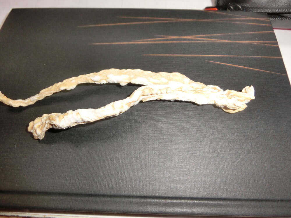 これってカビですか?一昨日買った大根なのですが 火を通せば食べれます- Yahoo!知恵袋