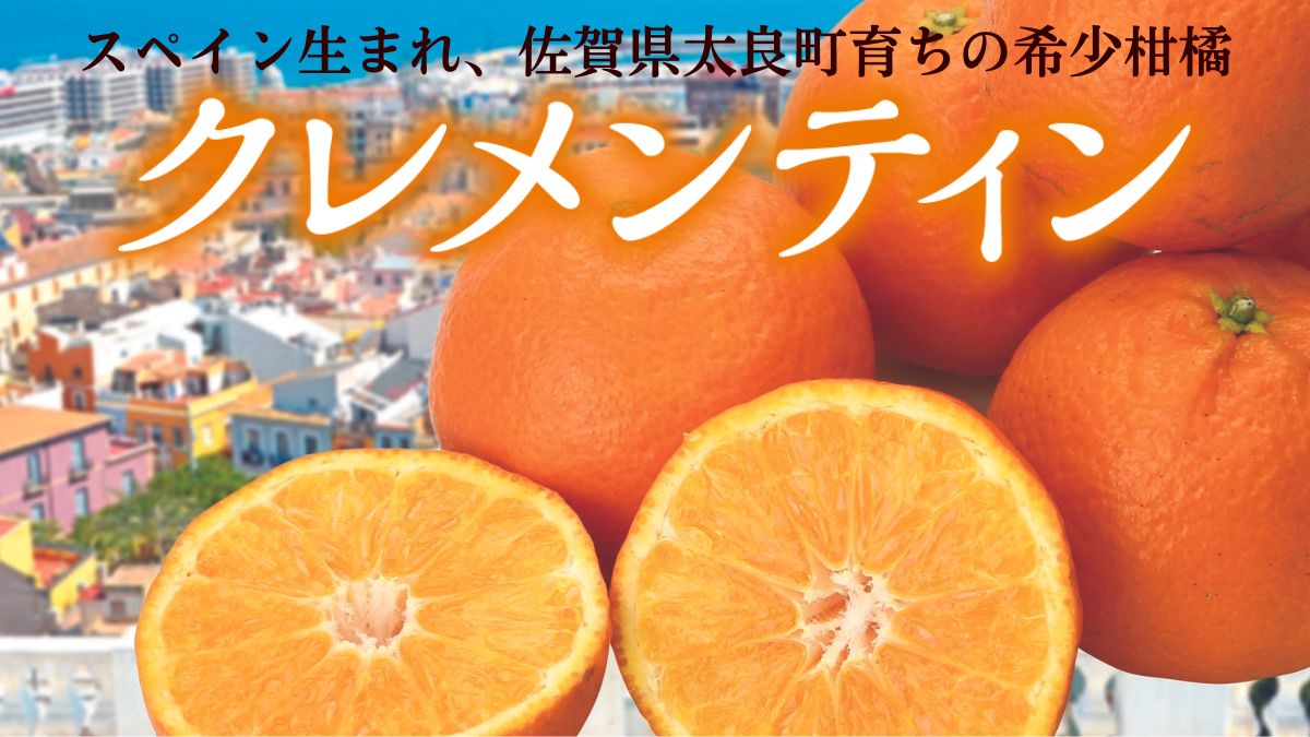 写真 : ラ・クレマンティーヌ イオンスタイル成田店La Clementine- 成田 ケーキ食べログ