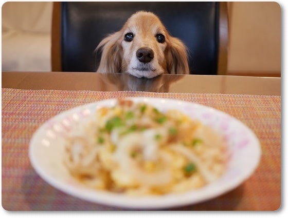 豚肉で！「豚肉すき焼き風うどん」♪♪