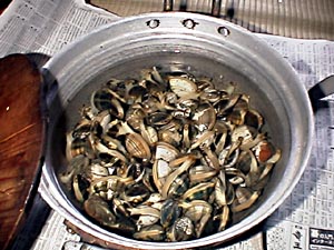 あさりの砂抜きと保存方法