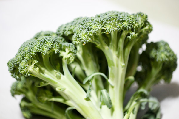 菜の花 菜花 花野菜 画像4枚 フリー写真素材 無料写真素材「花ざかりの森」