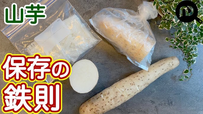 すりおろした「長芋」は冷凍保存できる？八百屋がイチオシの食べ方も紹介！-青髪のテツ @tetsublogorg 連載フーディストノート