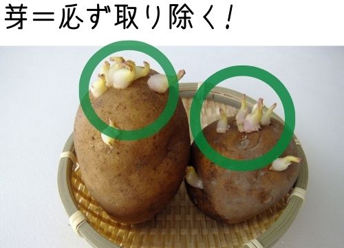 捨てないで！芽が出たじゃがいもはひと工夫でまだまだ食べられますサンキュ