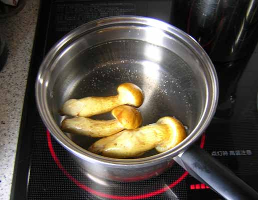 ワライタケ 笑茸Panaeolus papilionaceus- Picture Mushroom