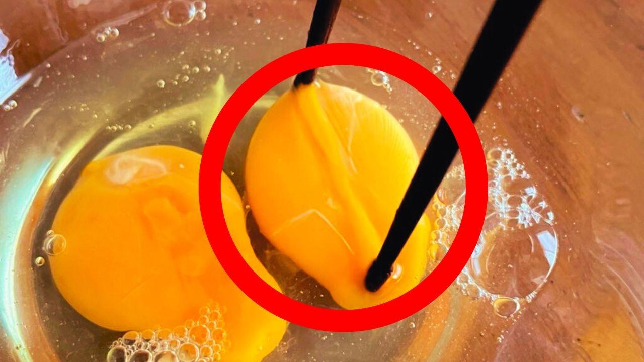 もへじ いぶりがっこのタルタルソース株式会社もへじ