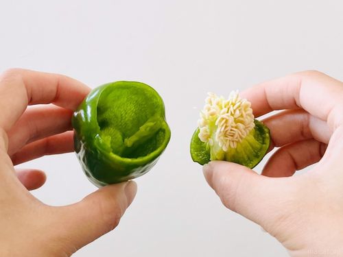 ピーマンの下処理・種の取り方キッコーマンホームクッキング