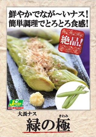 トロなすのレシピ4選!ステーキや漬物も?お薦めの調理法やポイントは?LOSTATHOME