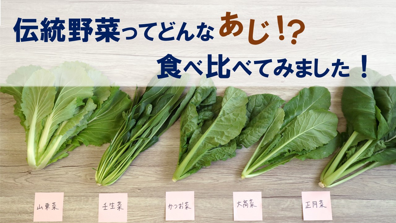 もっと野菜が知りたくなるマメ知識 vol.1「この葉、なんの葉？ベビーリーフ」 - みんなのブログ体験農園なら貸し農園 市民農園 のシェア畑