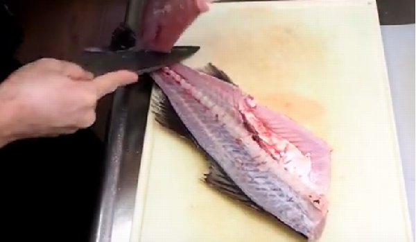 スズキ の捌き方~誰でも簡単にできる刺身の切り方から盛り付け方・酒蒸しの作り方のご紹介!クラハシ公式