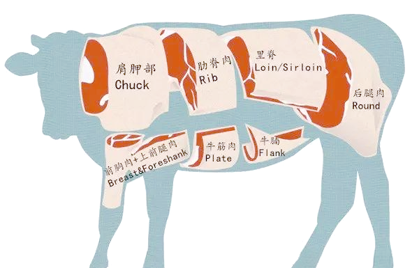 牛腩分3種：爽腩 坑腩 崩沙腩肉味口感各不同哪種牛味最濃扺食