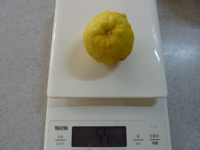 自然栽培で樹上完熟！外観無選別の種なし本ゆず多田錦 大盛 80サイズ4.5kgパック