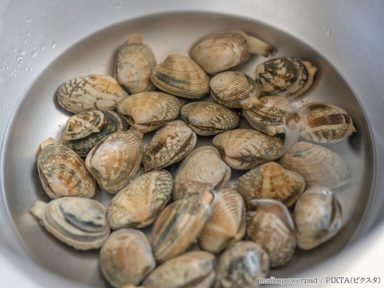 磯の巻き貝類 しったか☆砂抜き方法☆ by まなげ☆クックパッド簡単おいしいみんなのレシピが392万品