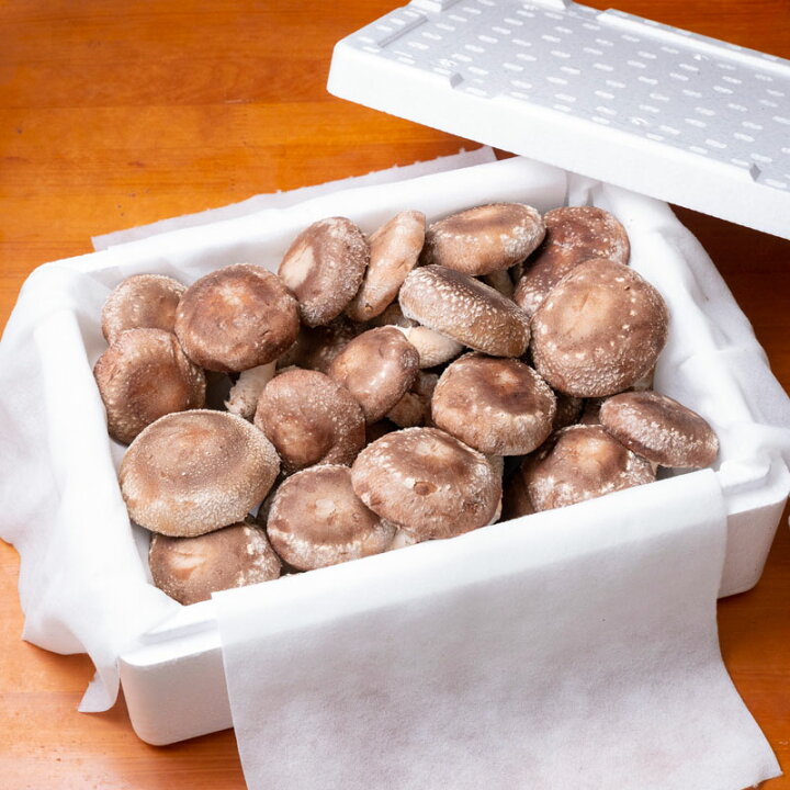 しいたけの裏が黒いのは腐っているから？変色しにくい保存方法 – シュフーズ