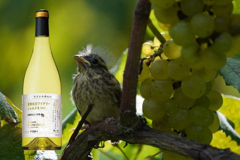 シャルドネ地域や作り手によって七変化する人気No.1白ワイン – ボクモワイン