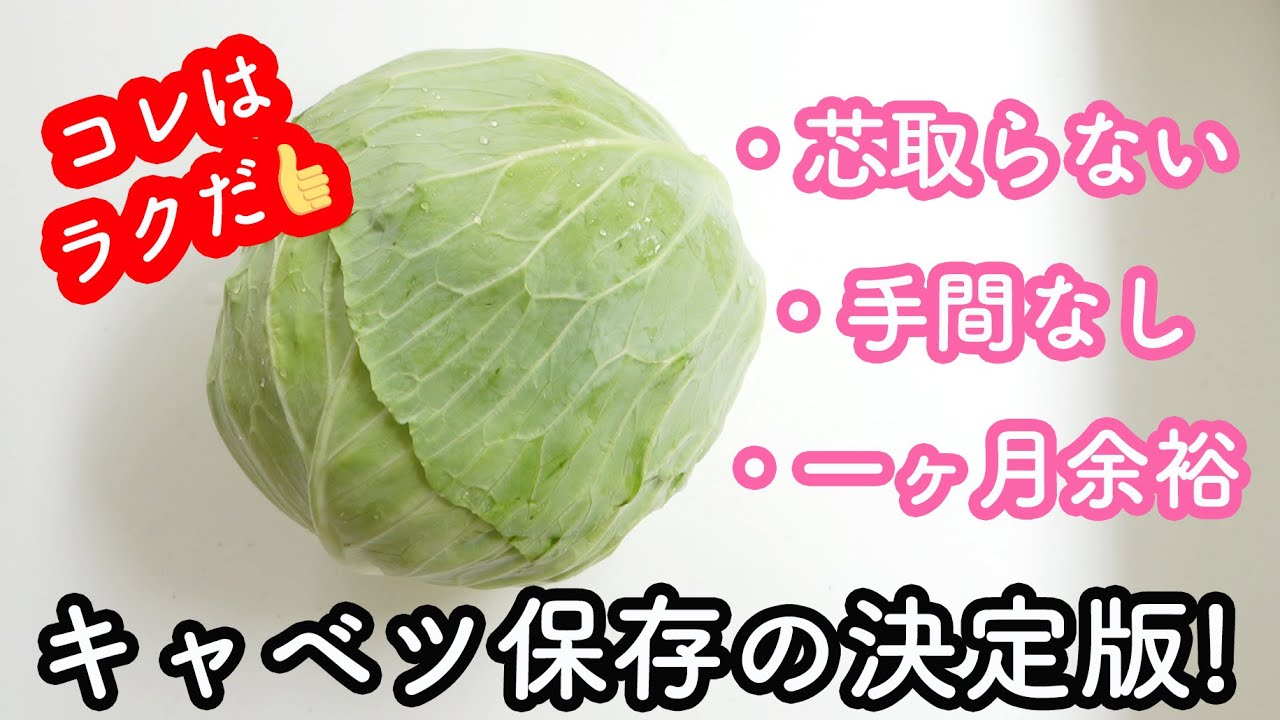 ワザあり 丸ごと買っても余らせない！キャベツの保存方法ママリ
