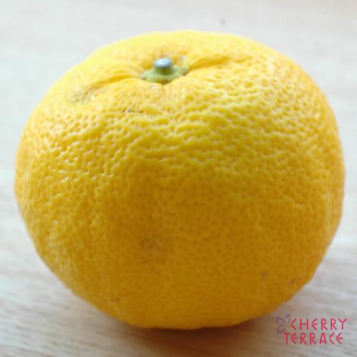 ゆずの飾り切り 「松葉」と「折れ松葉」の切り方 – icoro