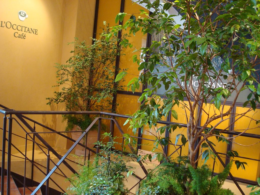 渋谷駅の覚えて便利⁈なエスカレーターKarinオフィシャルブログ「Karin Diary カレーとパフェとカフェと 」Powered byAmeba