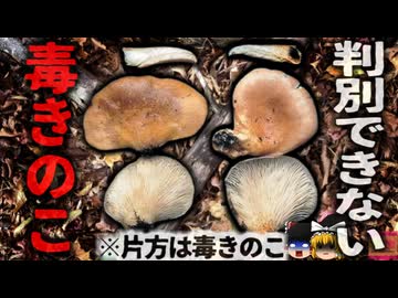 飲めば笑いが止まらない!? 禁断の「ワライダケエール」宮崎ひでじビールが販売開始！日本ビアジャーナリスト協会